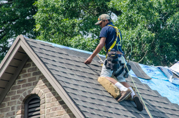 Best Gutter Installation and Roofing  in Foley, AL